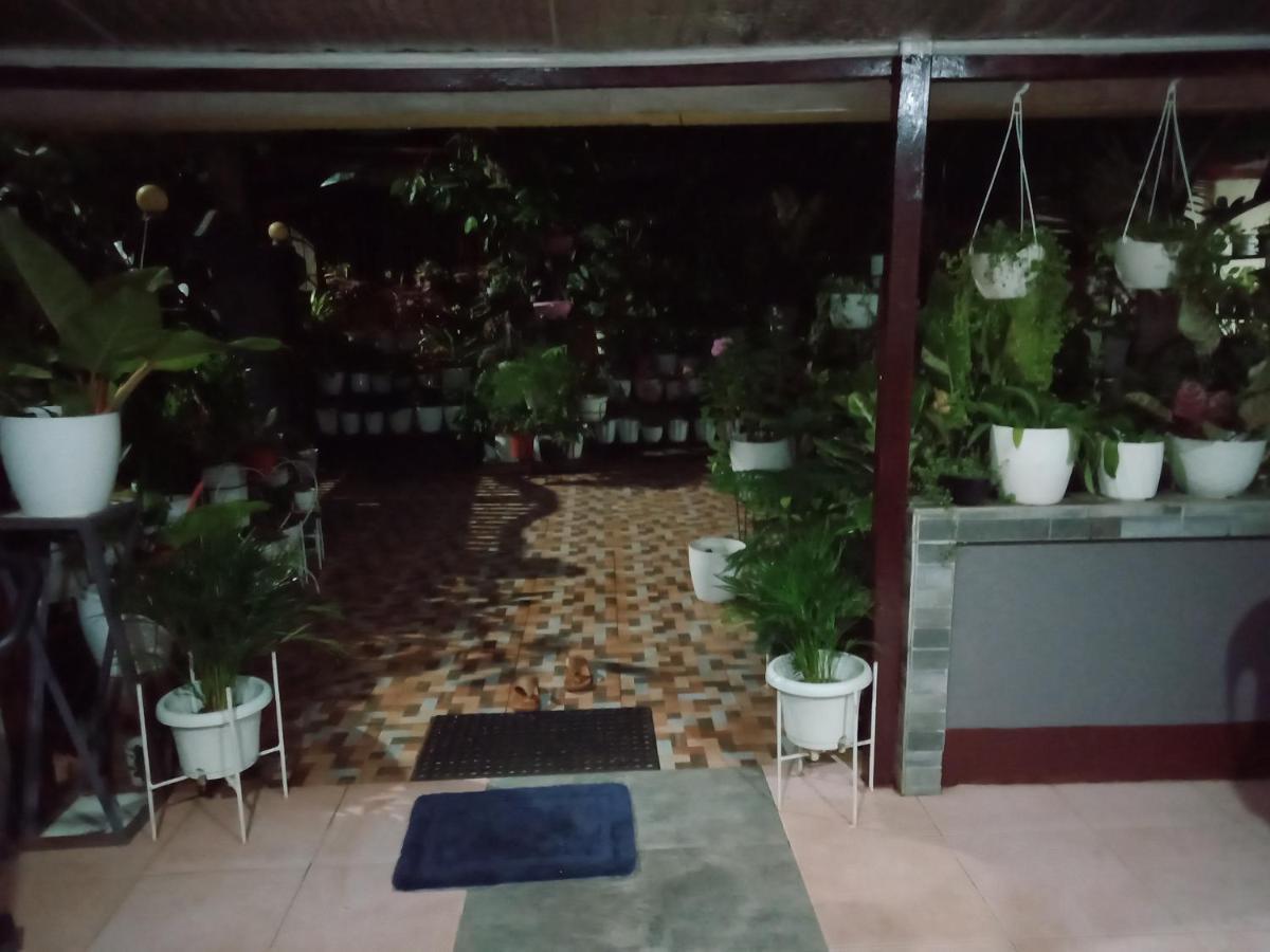 Dalinda'S Homestay 푸에르토프린세사 외부 사진