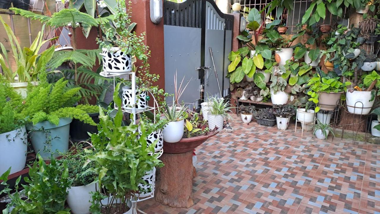 Dalinda'S Homestay 푸에르토프린세사 외부 사진
