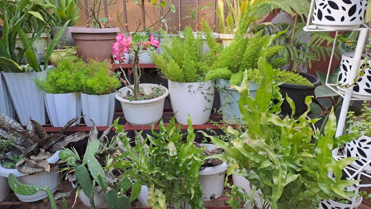 Dalinda'S Homestay 푸에르토프린세사 외부 사진